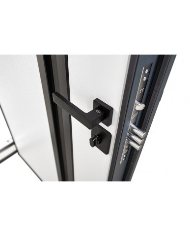 Вхідні двері модель Nordi Glass комплектація Defender Abwehr Steel Doors Expert (506)
