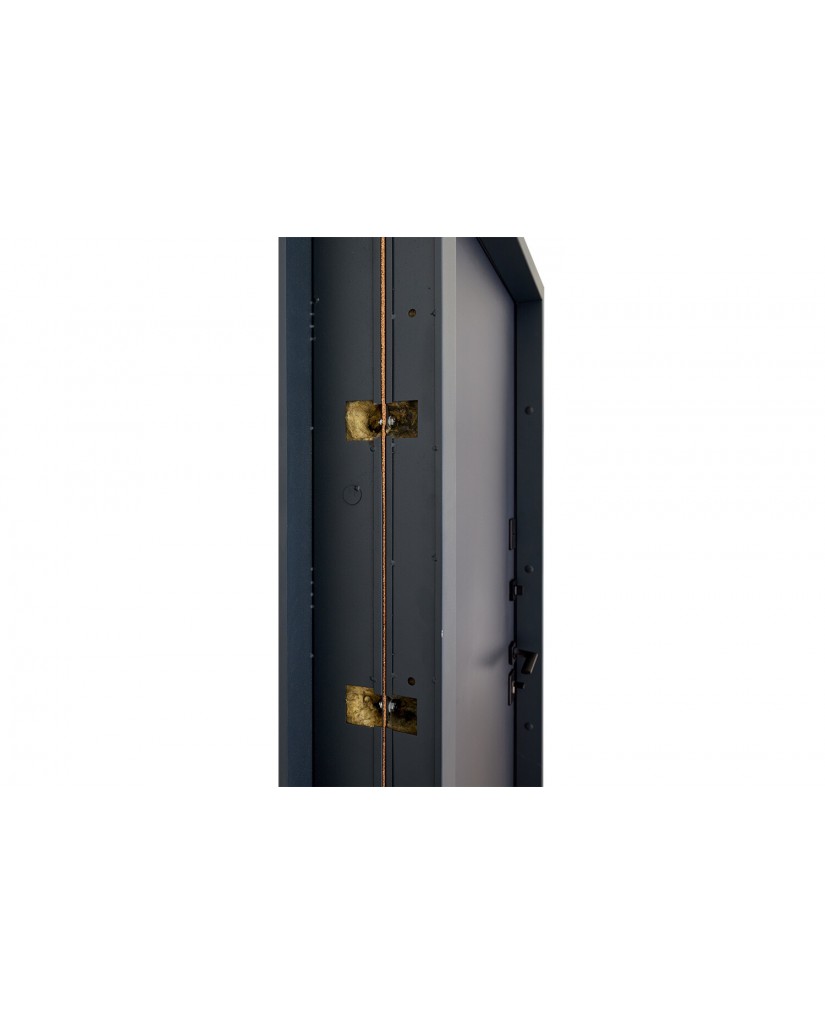 Вхідні двері с Терморазривом модель Olimpia комплектація Bionica 2 Abwehr Steel Doors Expert (LP3)