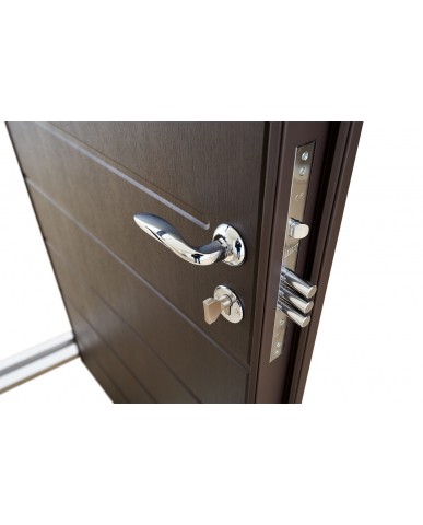 Вхідні металеві двері модель Solid (Колір Ral 8019T)комплектація Defender Abwehr Steel Doors Expert (0)
