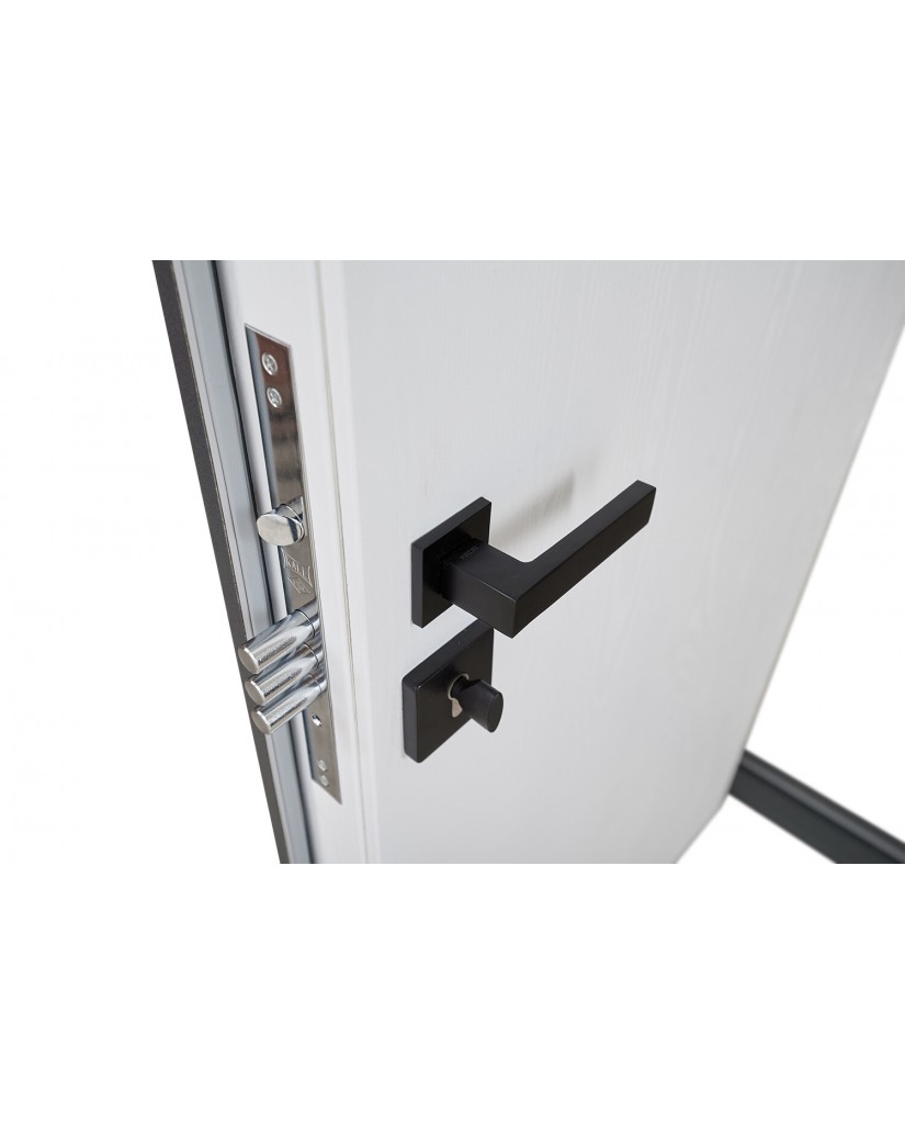 Вхідні двері модель Biatris (колір RAL 7016 + vinorit Білий) комплектація Classic+ Abwehr Steel Doors Expert (485)