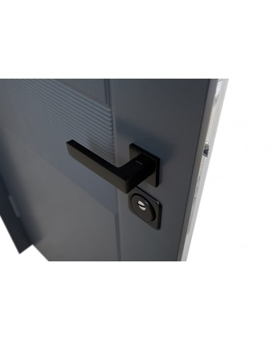 Вхідні двері модель Biatris (колір RAL 7016 + vinorit Білий) комплектація Classic+ Abwehr Steel Doors Expert (485)