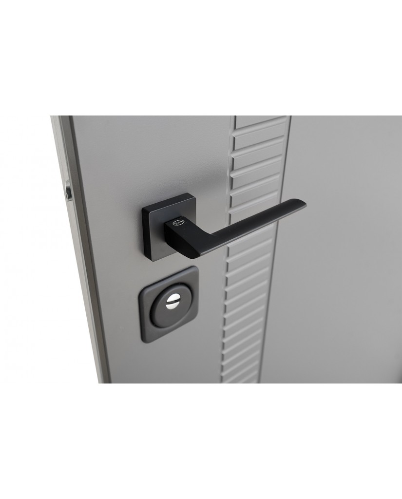 Вхідні двері модель Rail (Колір Кварцит + Рустик Авіньйон)комплектація Classic Abwehr Steel Doors Expert (510)
