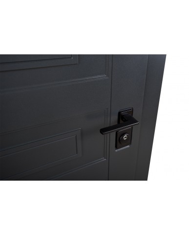 Вхідні двері с Терморазривом модель Scandi (Колір RAL 7021 + білий) комплектація COTTAGE Abwehr Steel Doors Expert (498)