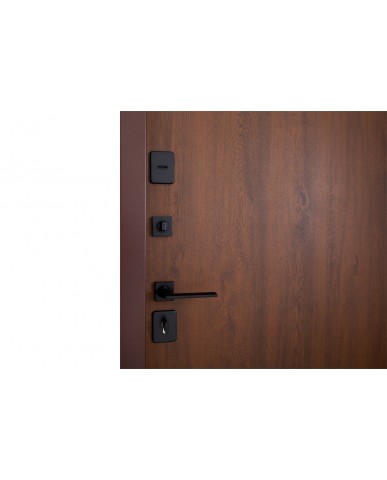 двері з терморозривом модель Paradise (колір Дуб Темний) комплектація Bionica 2 Abwehr Steel Doors Expert (LP1)